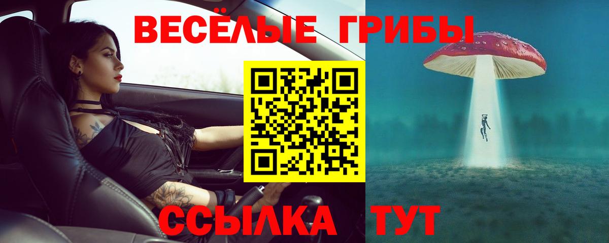 продажа наркотиков  Вход с VPN  Ступино  Псилоцибиновые грибы MAGIC MUSHROOMS 